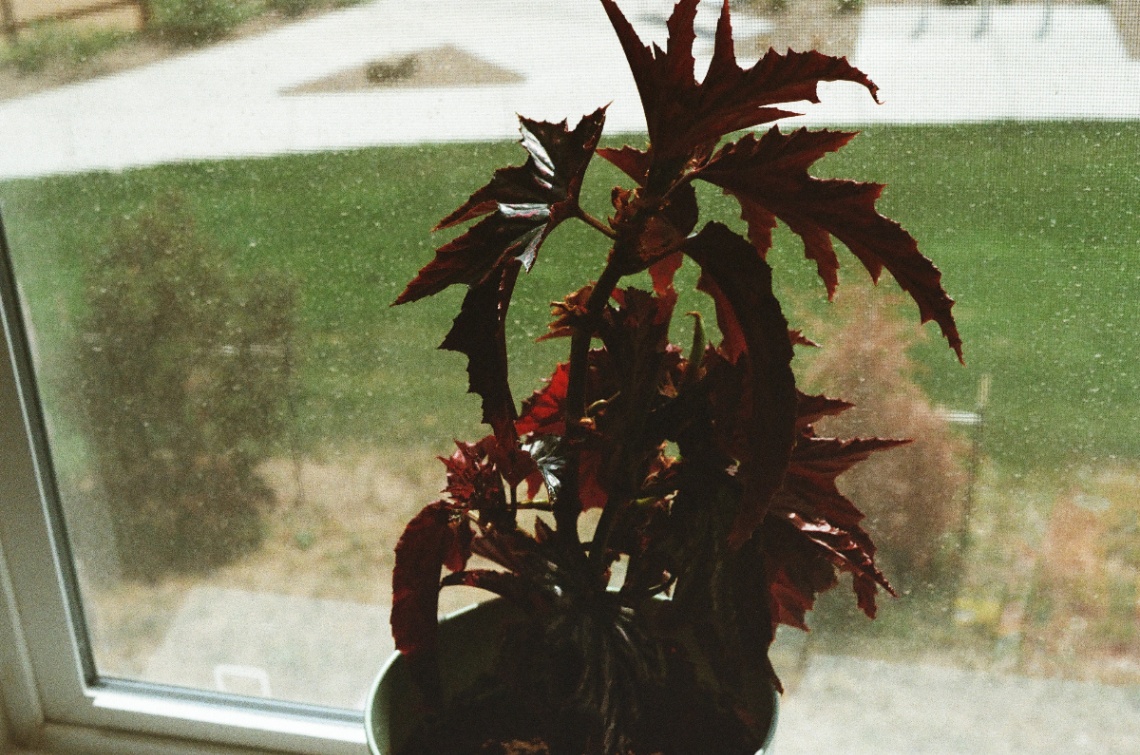 Frame 2