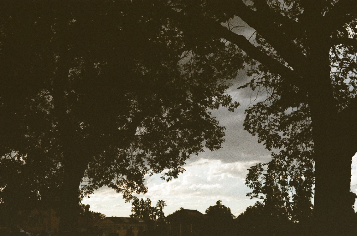 Frame 6