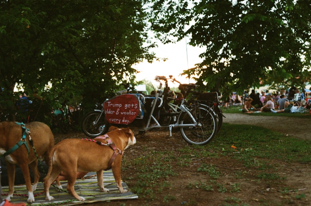 Frame 8