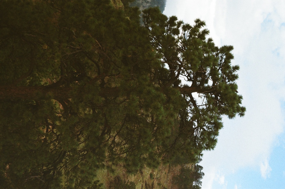 Frame 24