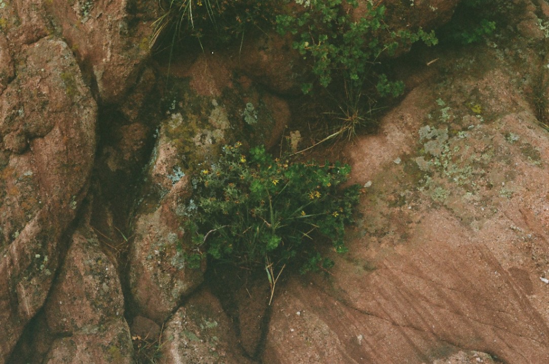 Frame 26
