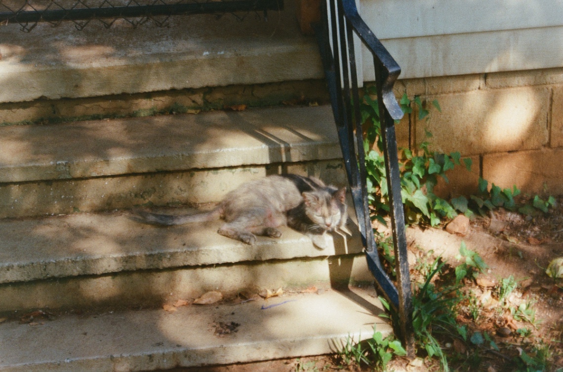 Frame 21