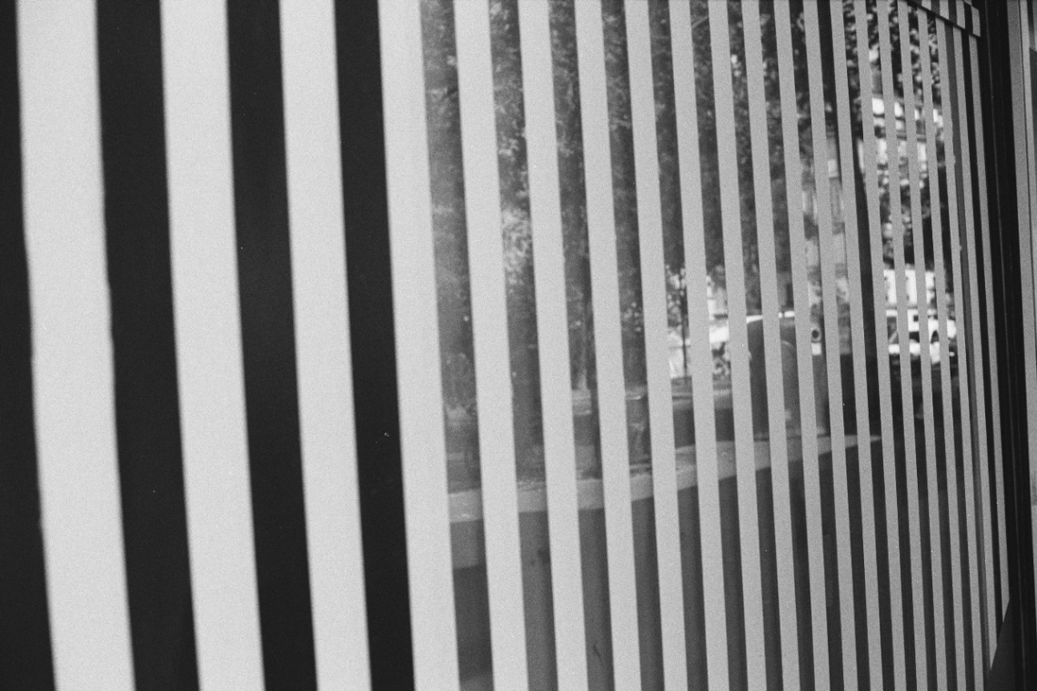 Frame 14