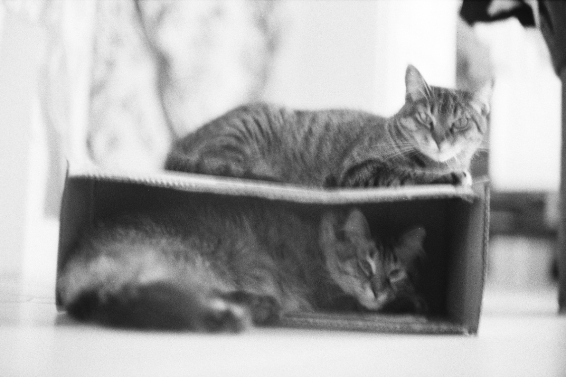Frame 30
