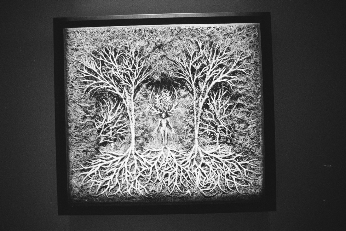 Frame 33