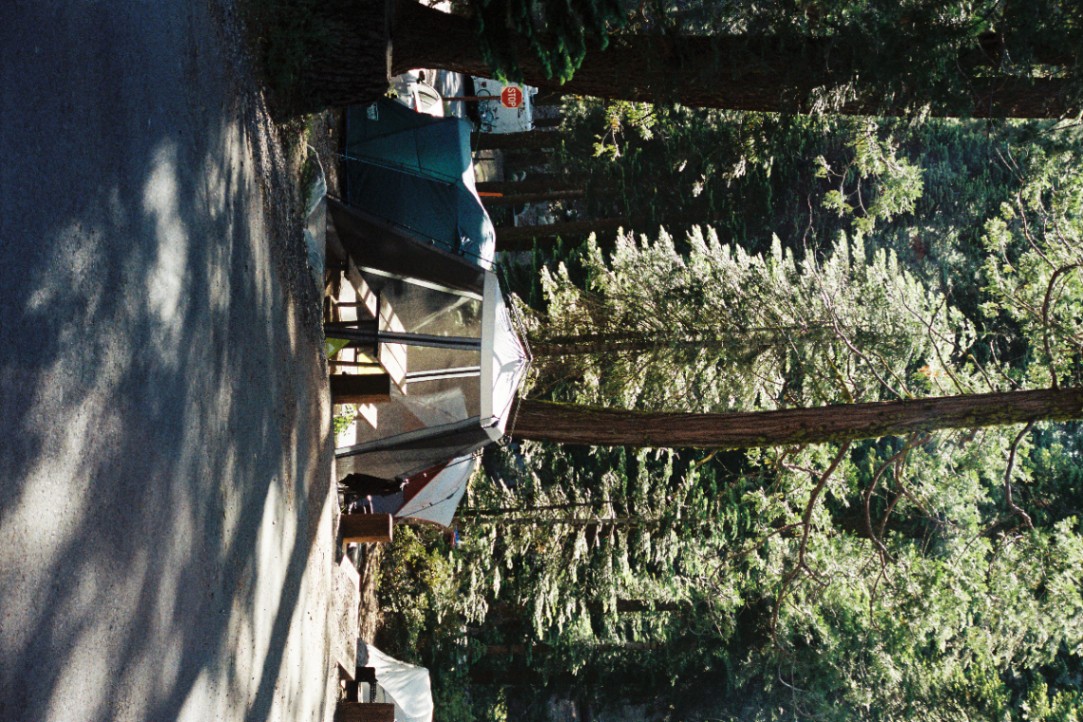 Frame 22