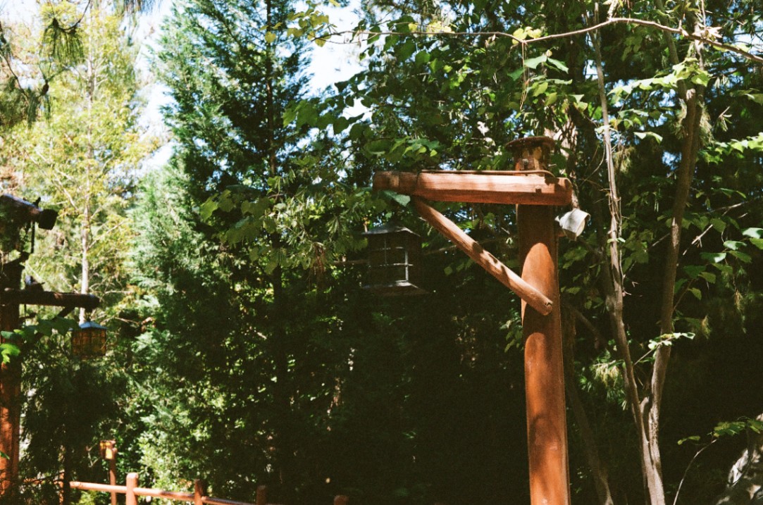 Frame 28