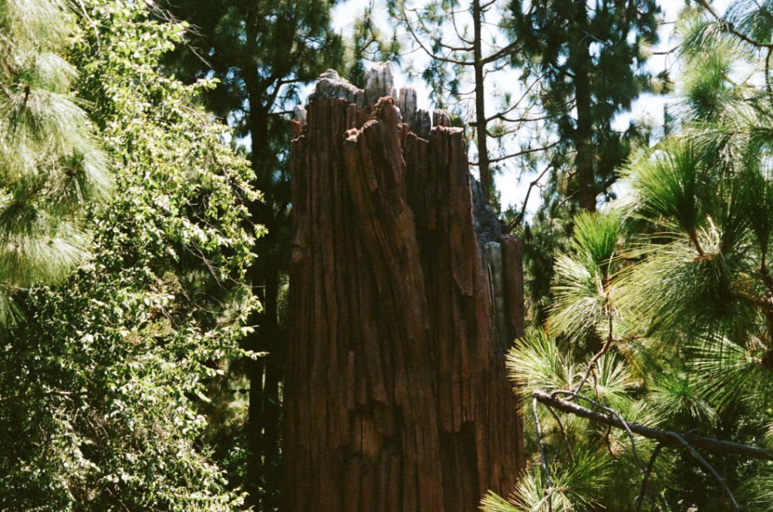 Frame 33