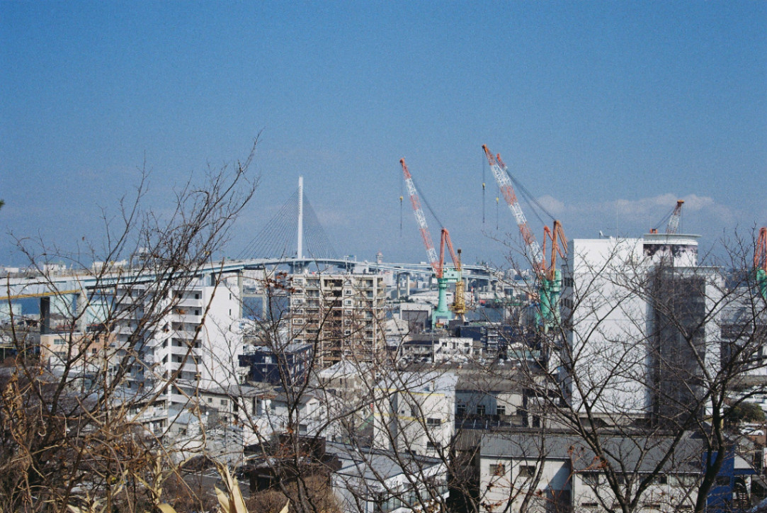 Frame 19