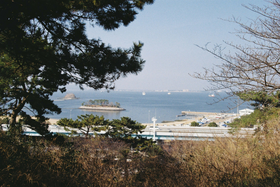 Frame 23
