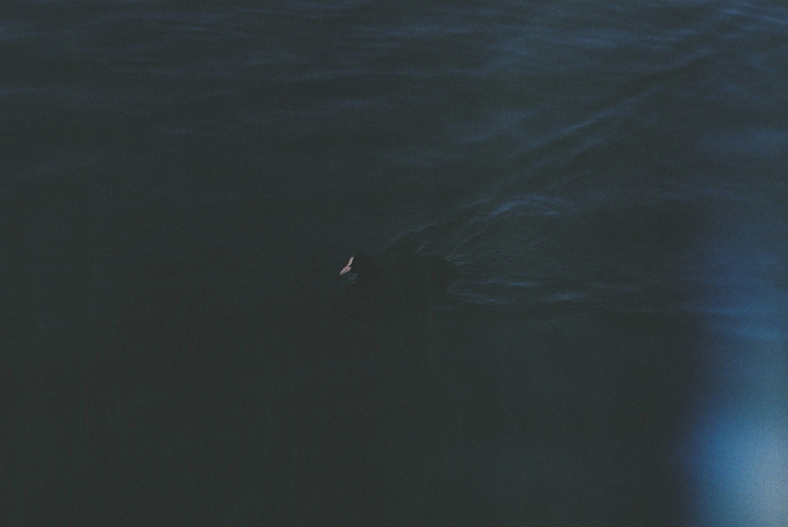 Frame 28
