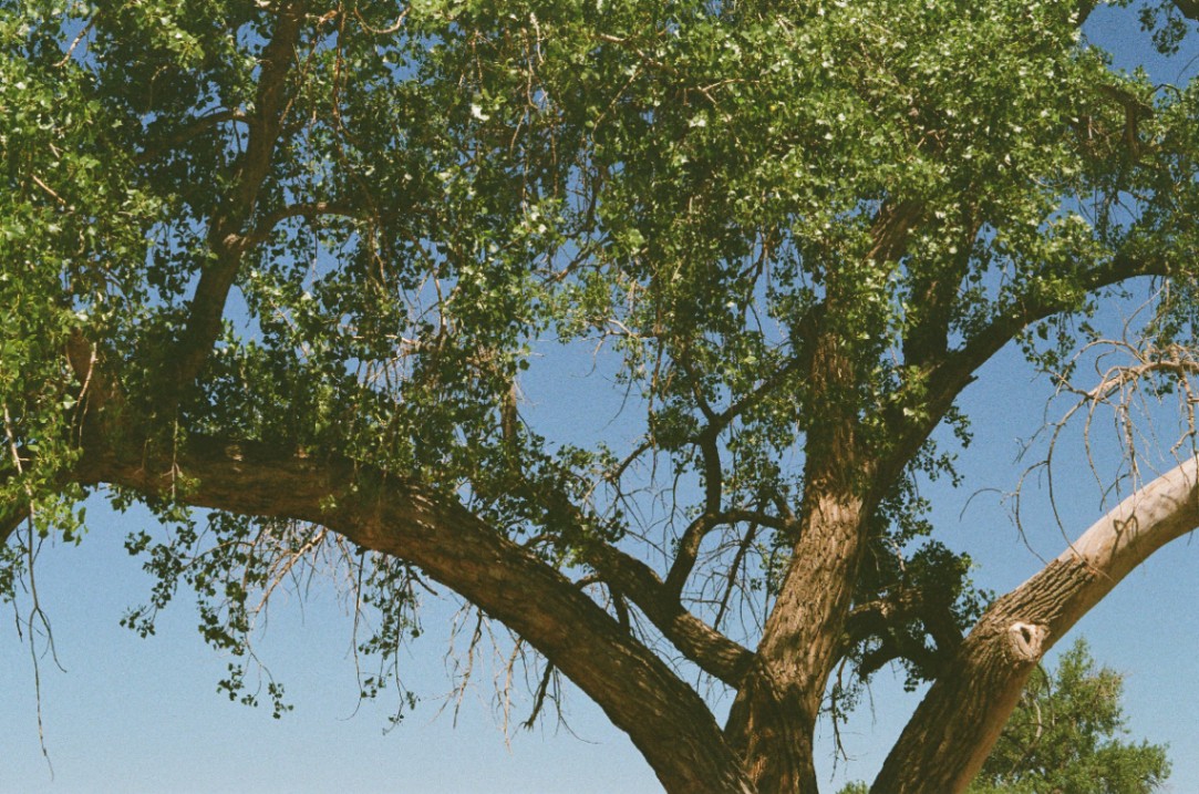 Frame 4