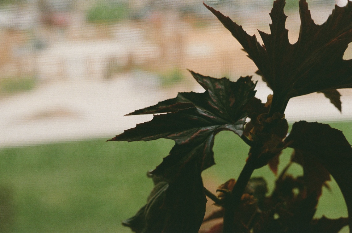 Frame 5