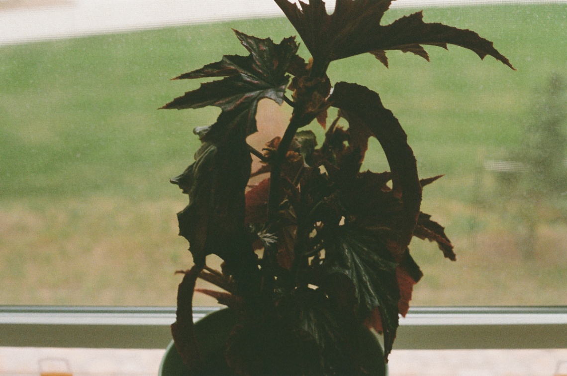 Frame 10