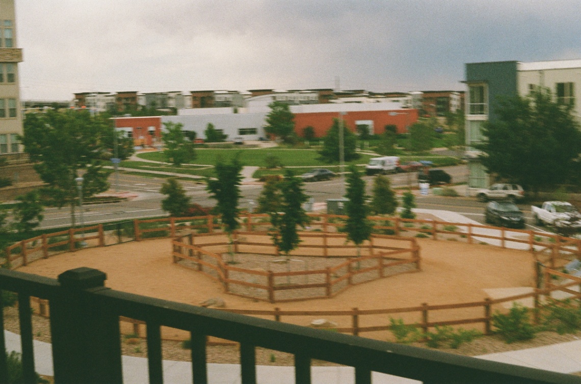 Frame 12