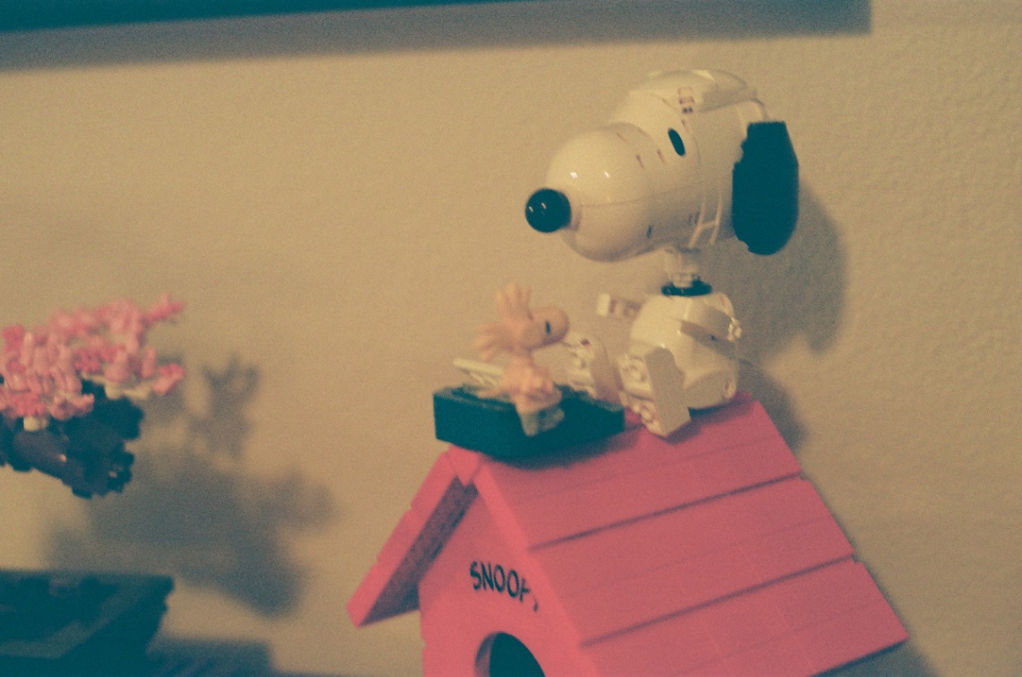 Frame 13