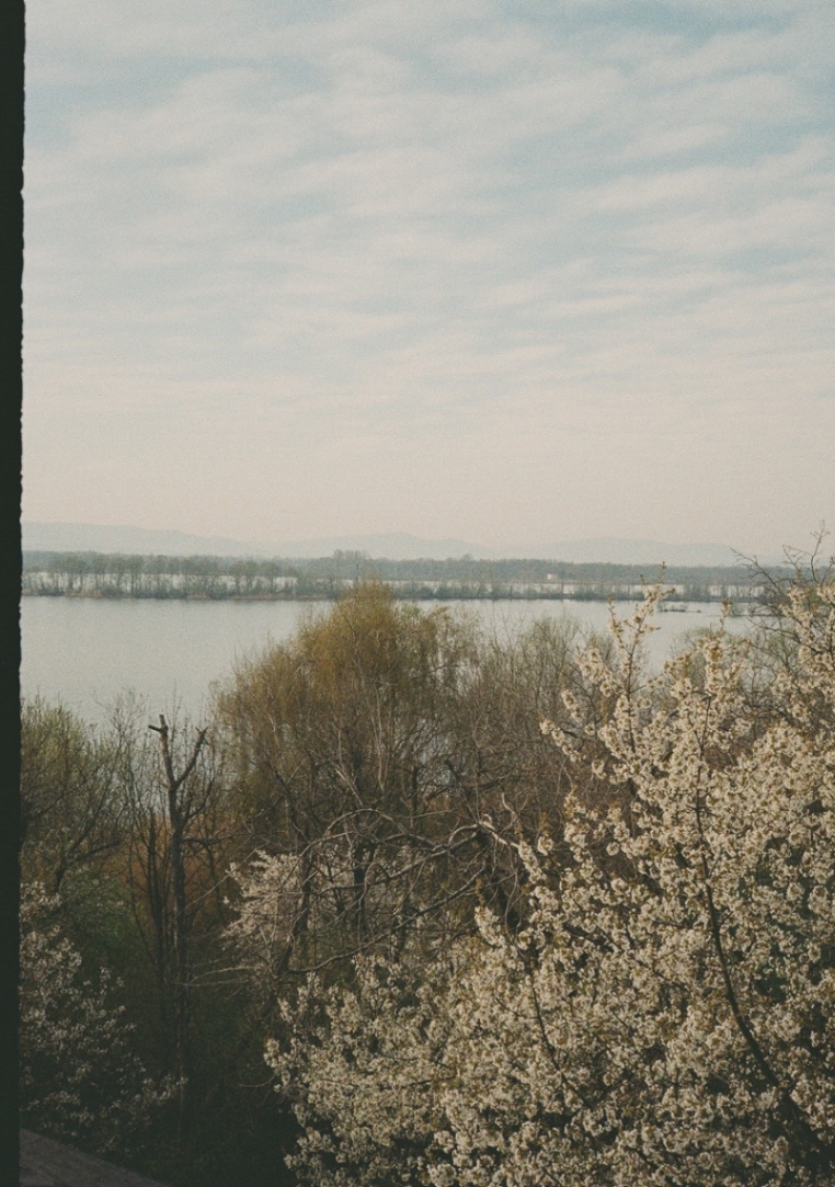 Frame 1