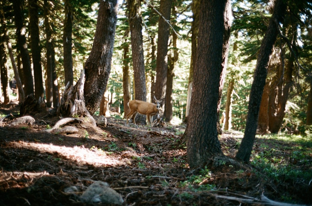 Frame 2