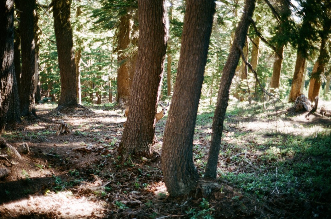 Frame 3