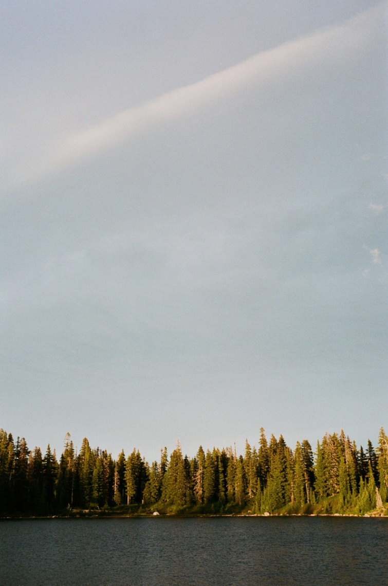 Frame 19
