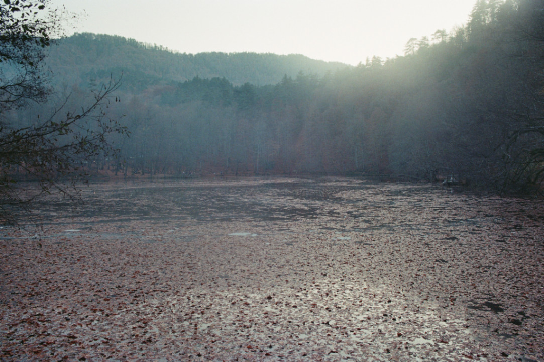 Frame 1