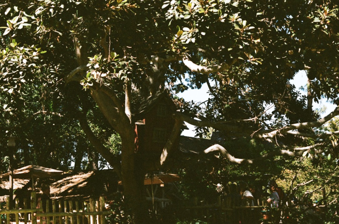 Frame 21