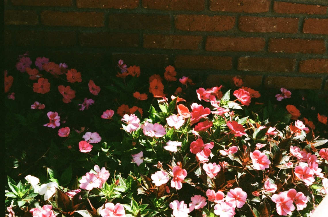 Frame 27