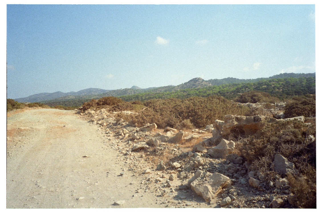 Frame 1