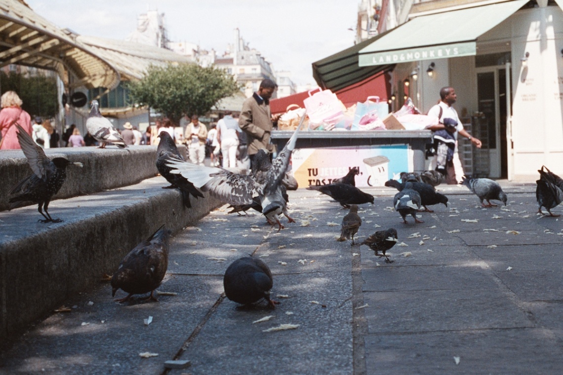 Frame 4