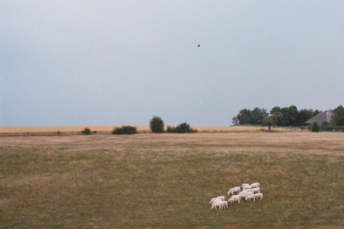 Frame 34