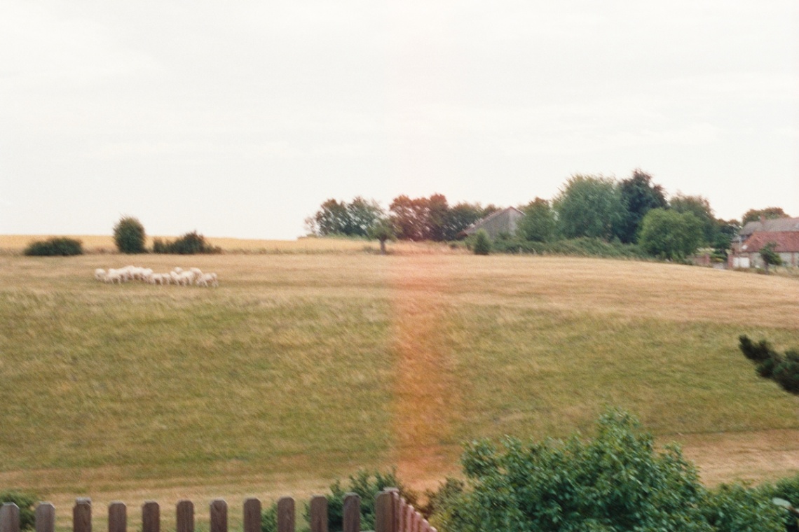 Frame 37