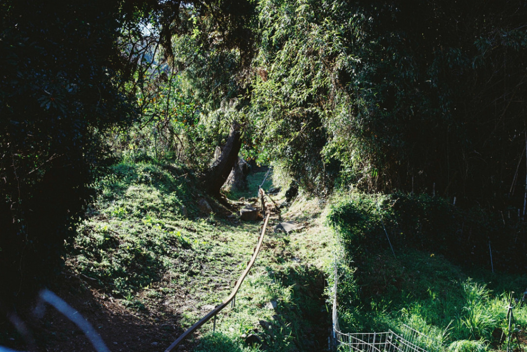 Frame 8