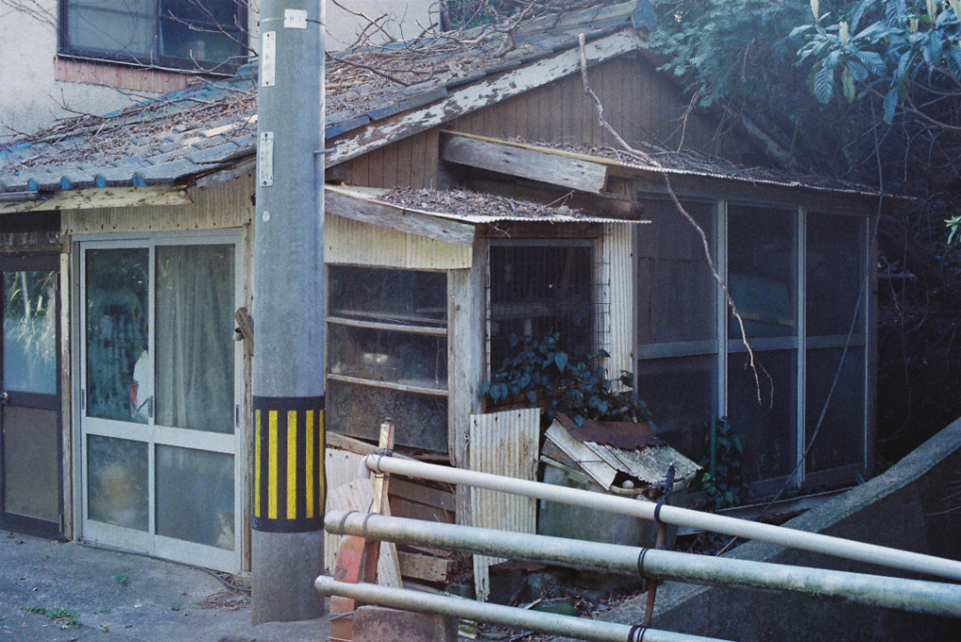 Frame 11