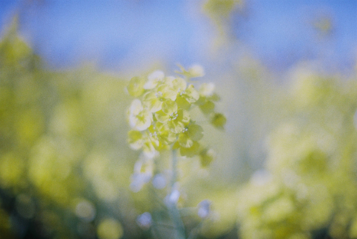 Frame 24