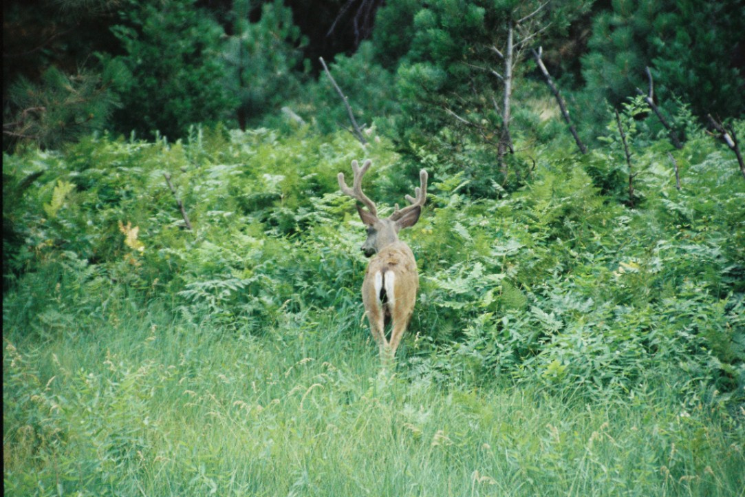 Frame 2