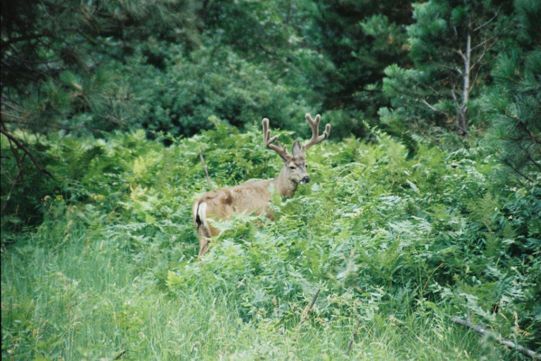 Frame 4