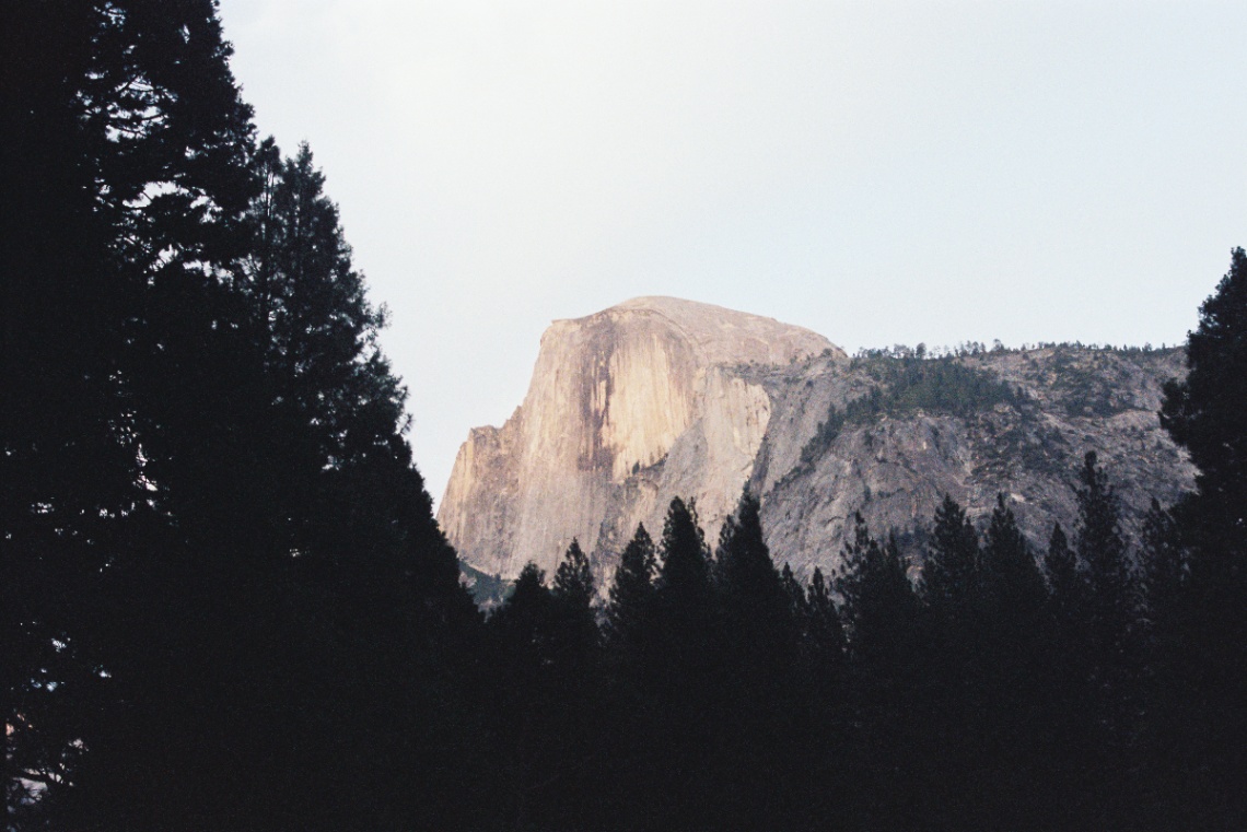 Frame 7