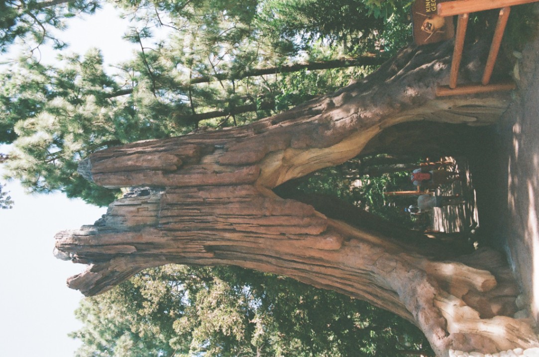 Frame 14