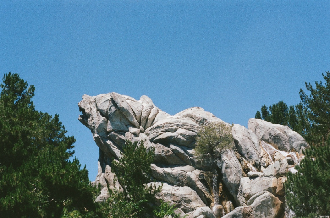 Frame 17