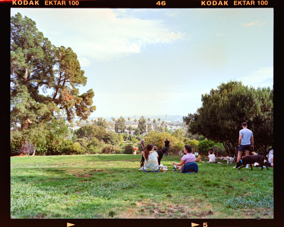Frame 3