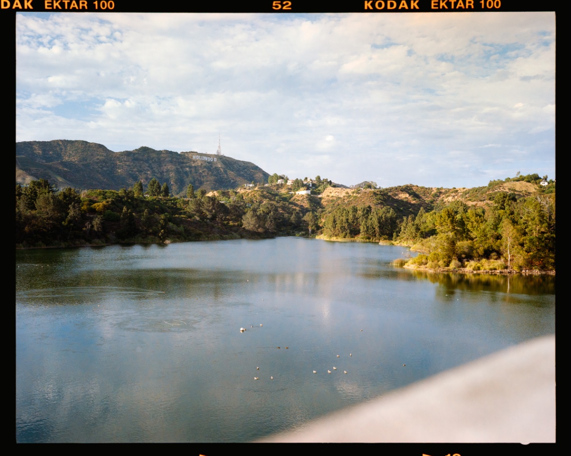 Frame 8