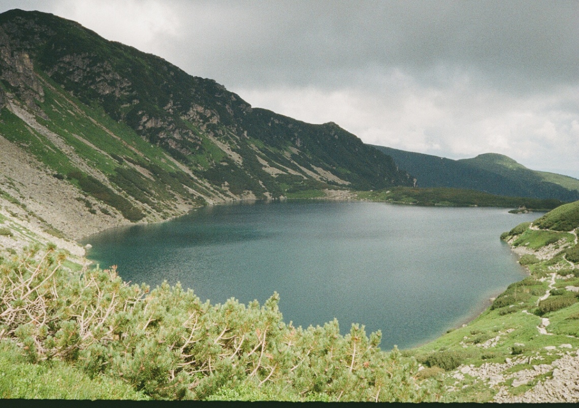 Frame 5