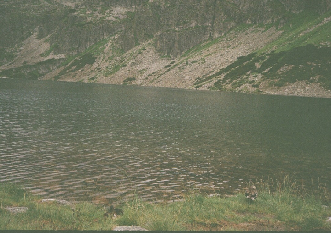 Frame 9