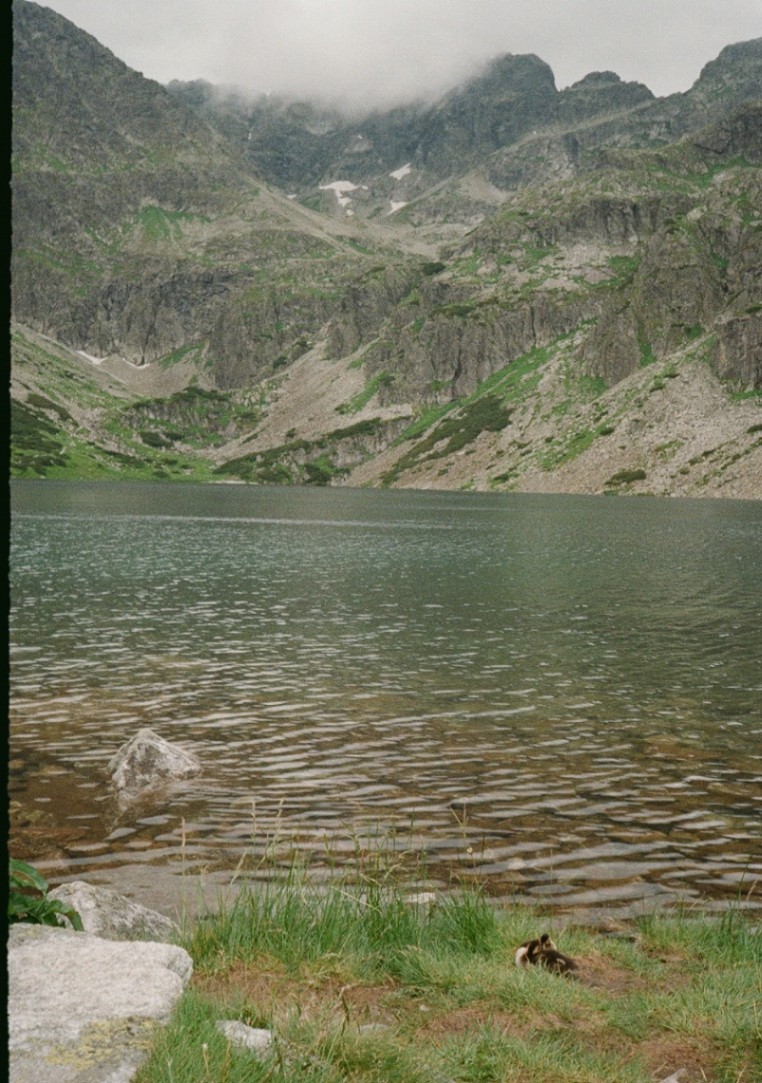 Frame 10