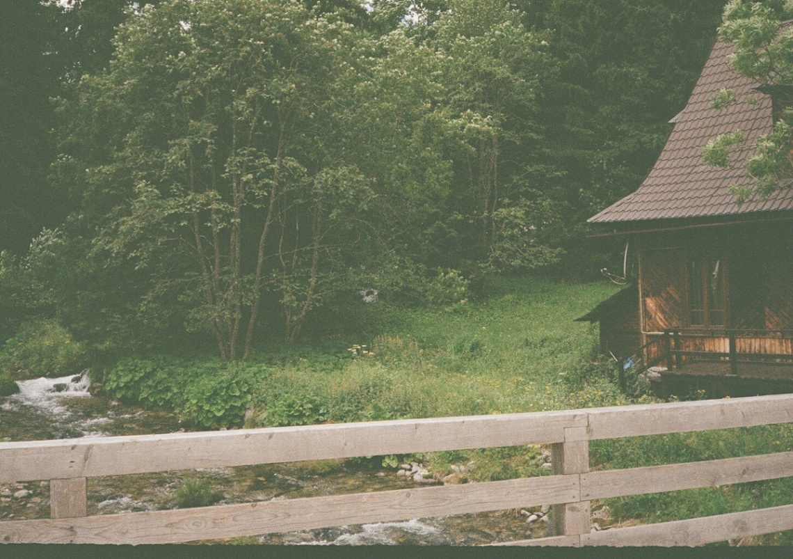 Frame 11