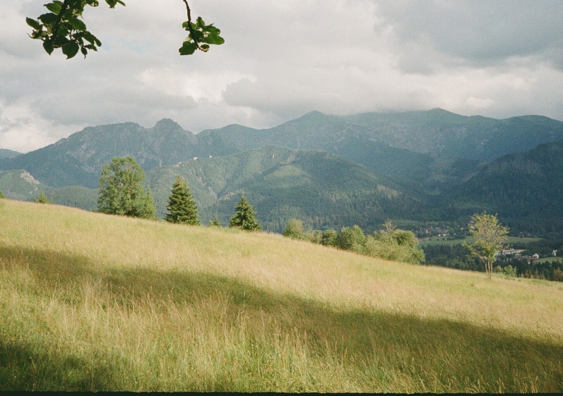 Frame 12