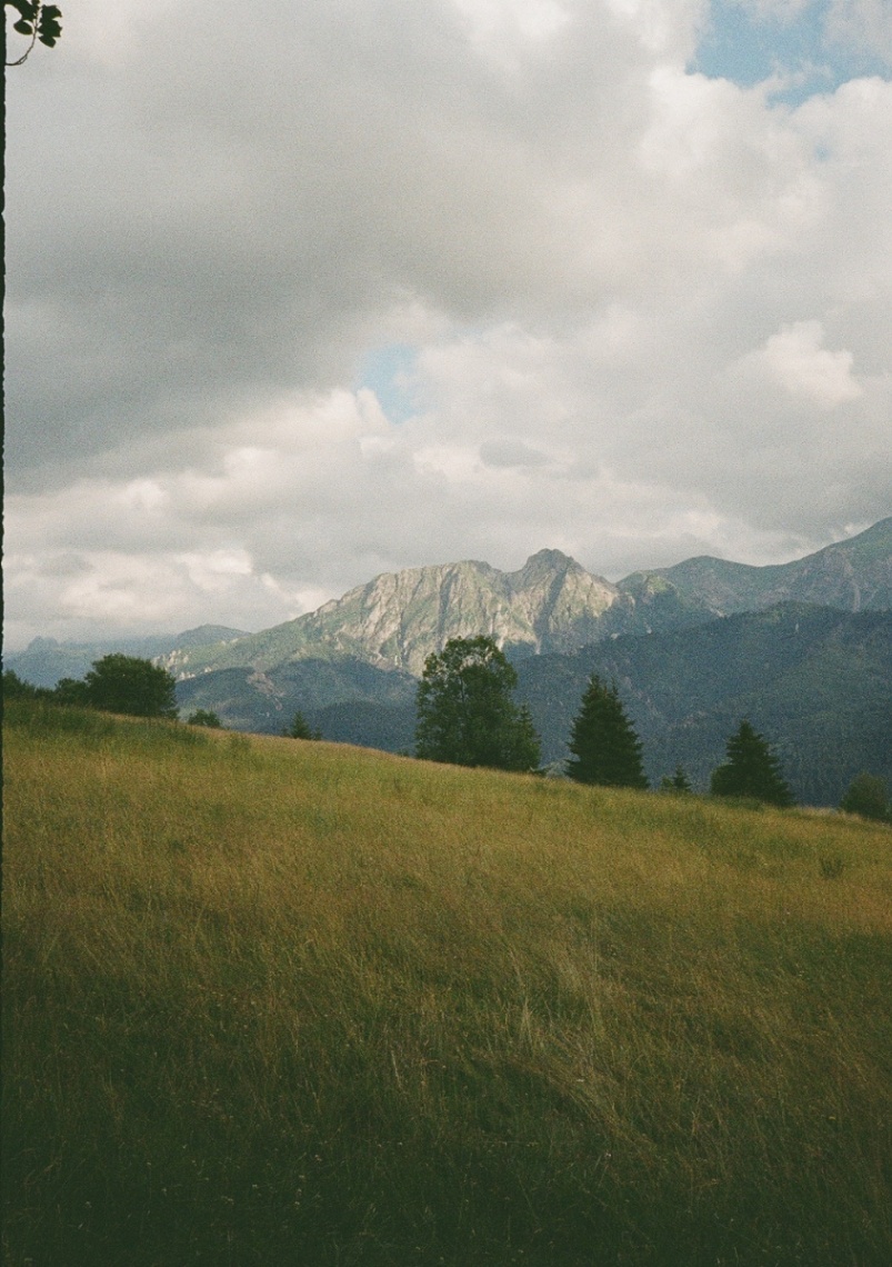 Frame 13