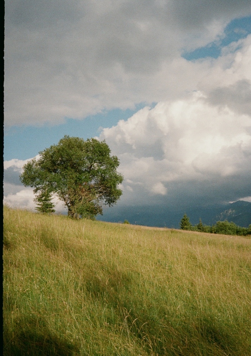 Frame 20
