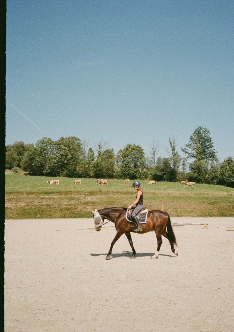 Frame 47