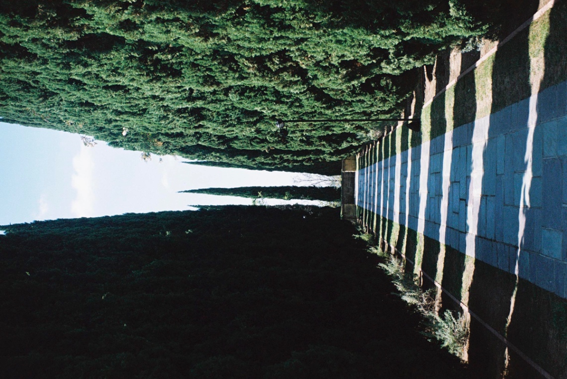 Frame 30